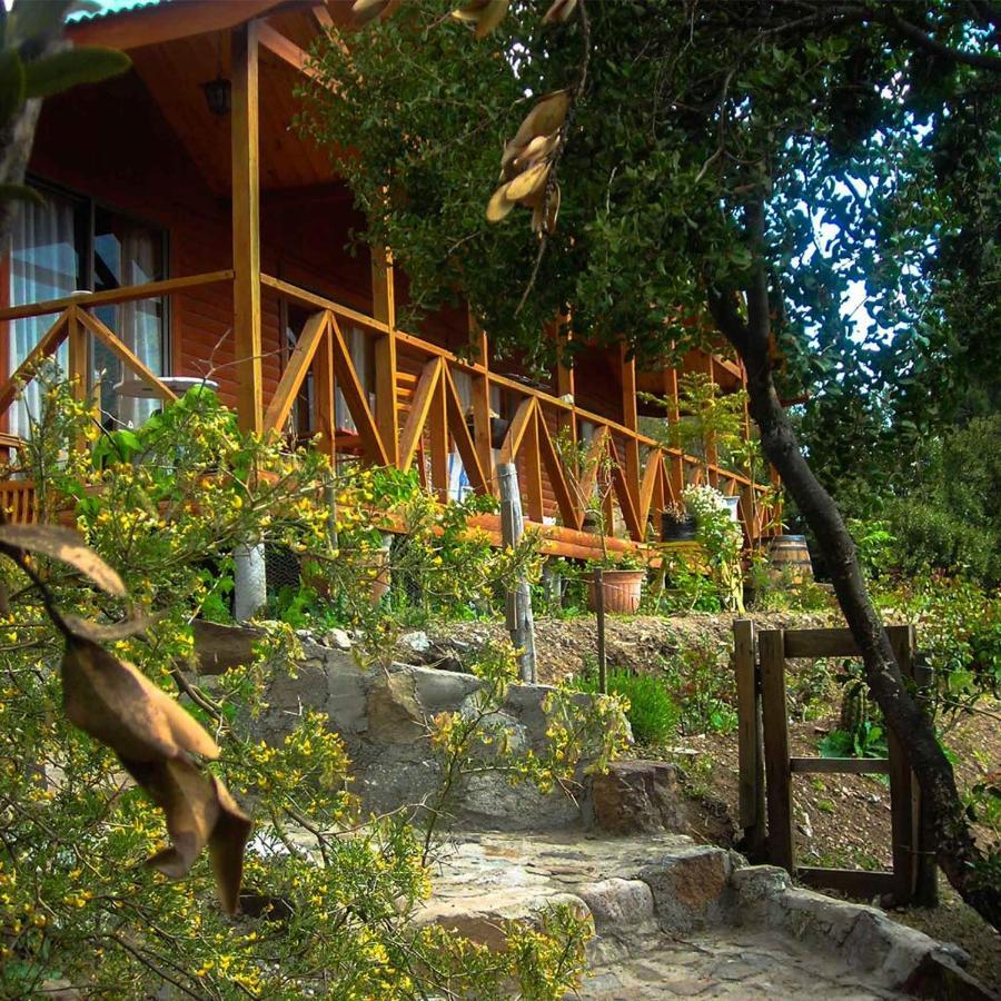 Las Lomitas De Guayacan, Cabanas Y Spa San José de Maipo Kültér fotó