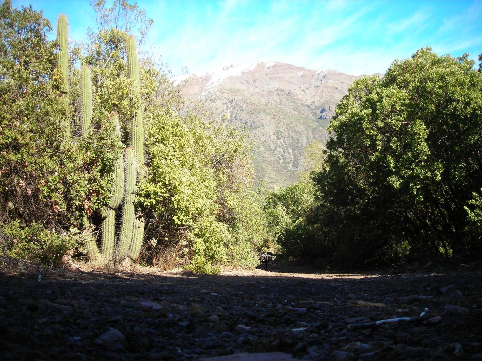 Las Lomitas De Guayacan, Cabanas Y Spa San José de Maipo Kültér fotó